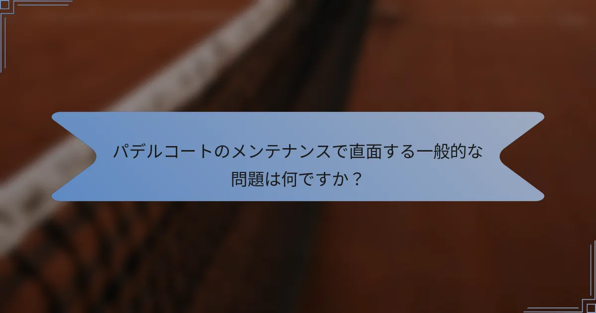 パデルコートのメンテナンスで直面する一般的な問題は何ですか？